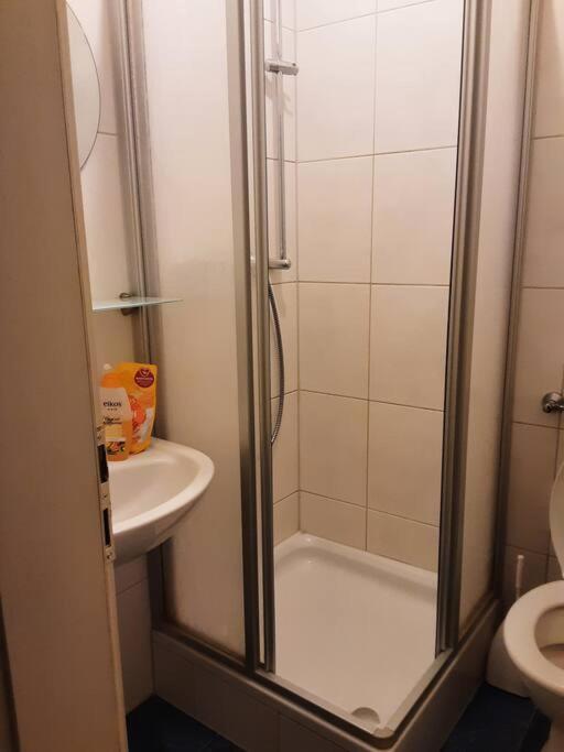 Alfred First Apartment Regensburg Bagian luar foto